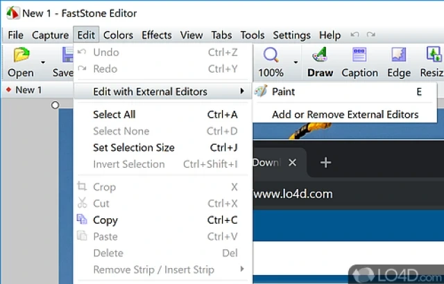 FastStone Capture toolbar